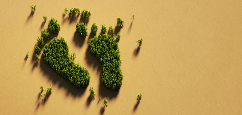 Isı İzolasyon Malzemeleri Rehberi ve Tavsiyeler 2 Karbon Ayak izi