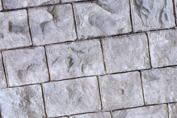 DC Kompozit - Polyester