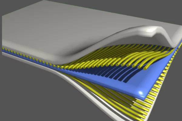 DC Kompozit - Polyester